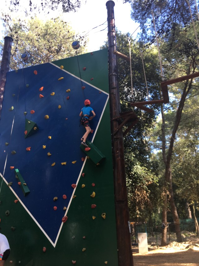 Climbing wall